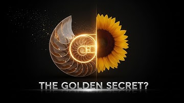 Fibonacci Spiral in Nature – Unlocking the Golden Ratio’s Hidden Secret