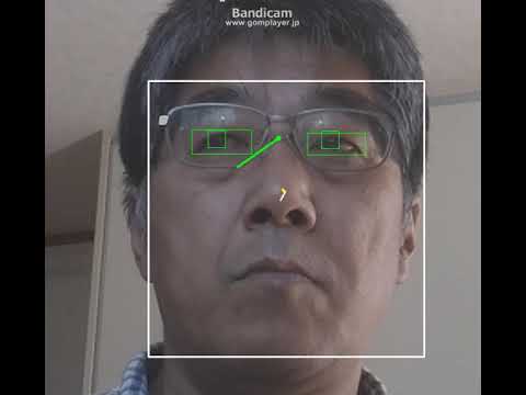 iris tracking