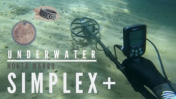 Nokta Makro Simplex+ SILVER RING 825 Metal detecting underwater