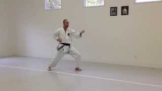 Celebrity Outside Block, Stepping Backwards in Front Stance | IKD Testing Syllabus videos | Karate 2013 Profile