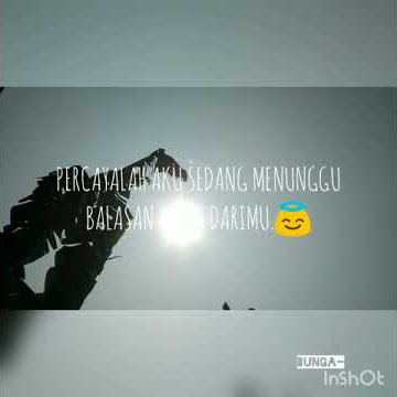 #STORYBUNGA. ,Video story whatsapp (PERCAYALAH AKU SEDANG MENUNGGU BALASAN CHAT DARIMU)
