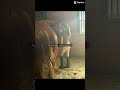 An old clip! #foryou #horse #equestrianjourney #amnewbutnottheleast 