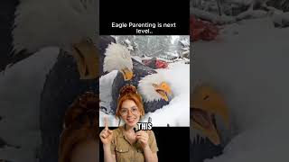 The Fascinating Parenting Strategy That Keeps Them Alive #eagles