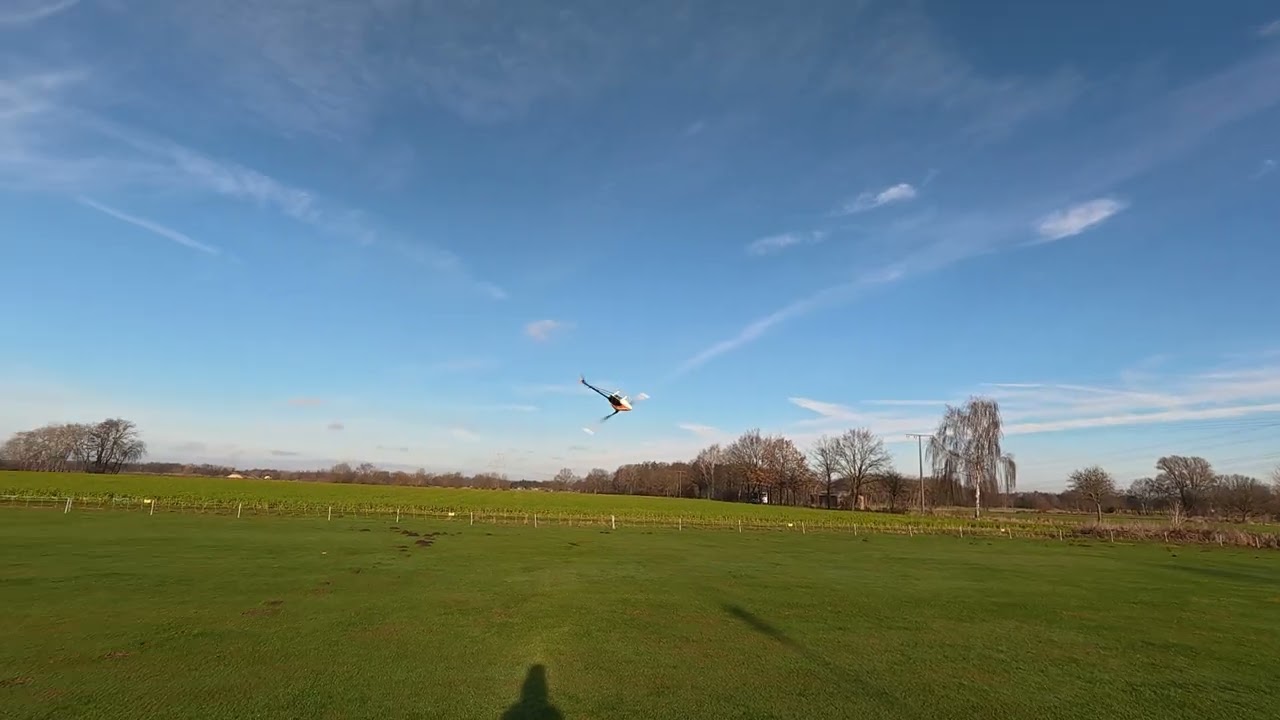 Maurice Rudolf | Mikado Logo 700 | VBar V8