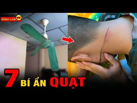 Video: Sự thật thú vị về quạ: mô tả, đặc điểm và ảnh