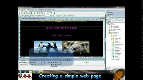 Dreamweaver 8 Creating a simple web page