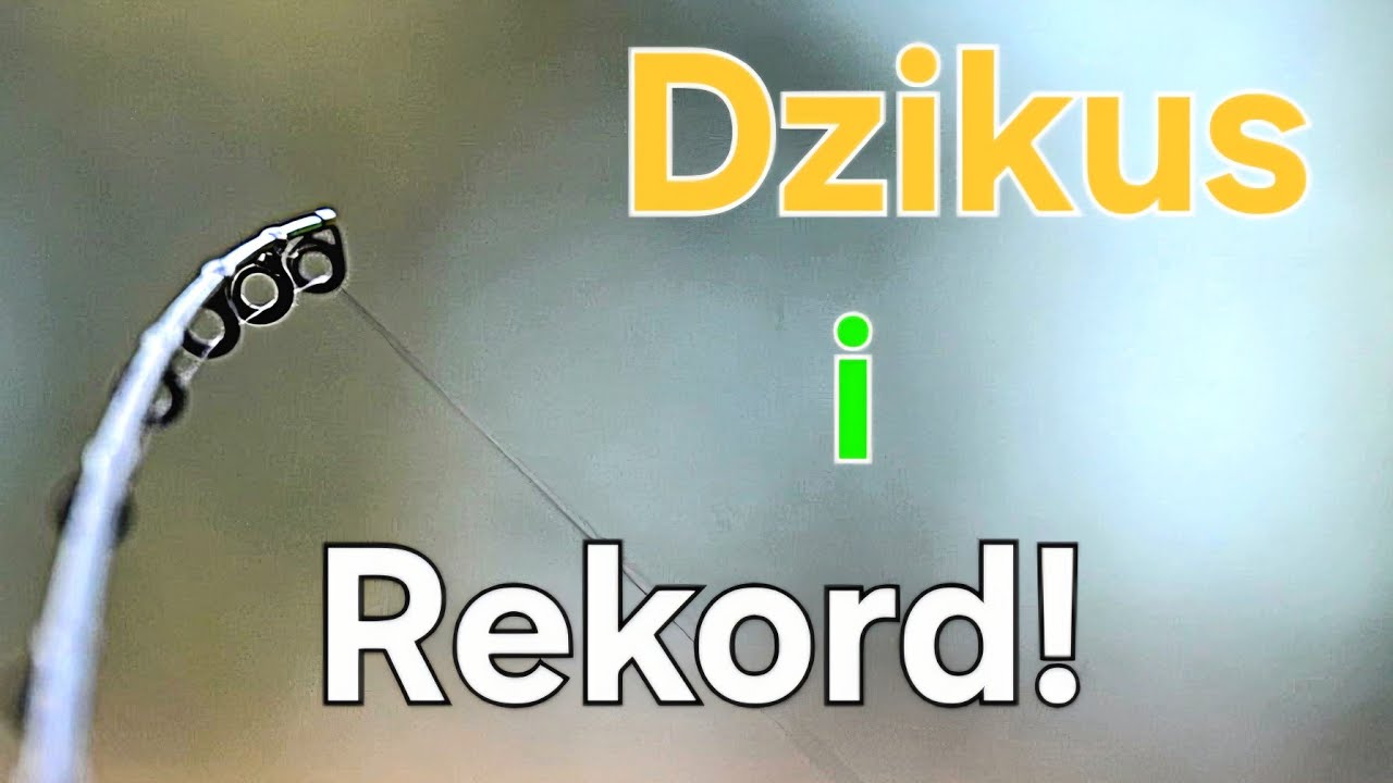 Dzikus i Dziwna Życiówka! Odczarowałem Wisłę! Klasyczny Rzeczny Feeder! Wędkarstwo Feederowe PZW!