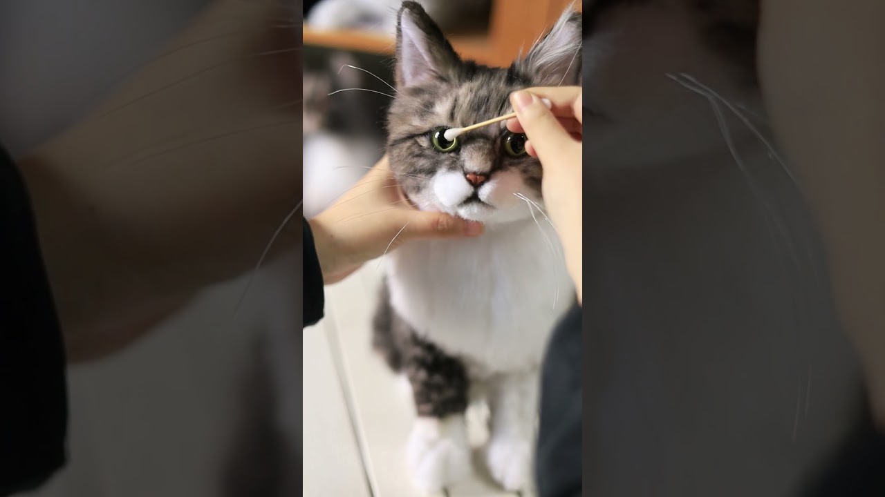 From photo to plush, let’s watch your fur baby come to life! 🐱✨