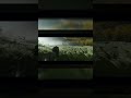 Ghost of tsushima Title card