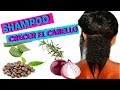 SHAMPOOS para HACER CRECER EL CABELLO EN TRANSICIÓN  SUPER RÁPIDO