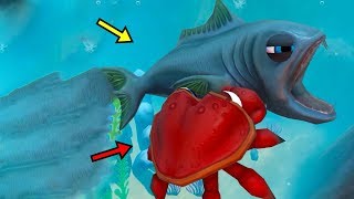 видео: Краб сатып алып бәрін тістедім картинка: Краб сатып алып бәрін тістедім