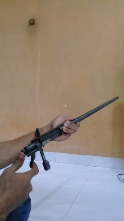 Model 55s01  call 5.56