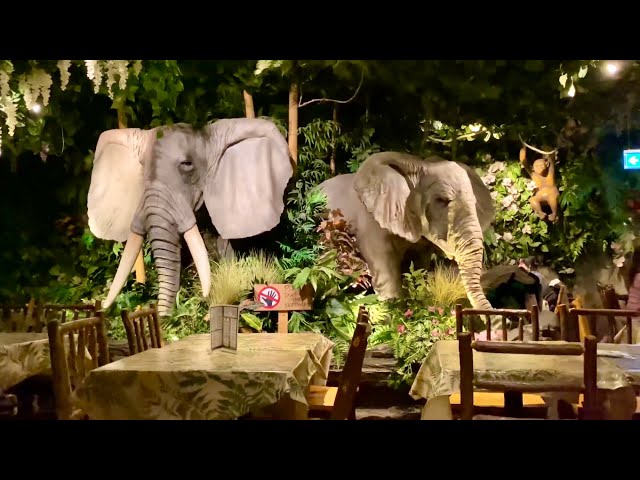 Rainforest Cafe with jungle theme in London |4K|
