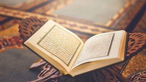 سورة النبأ - أحمد محمد عباس