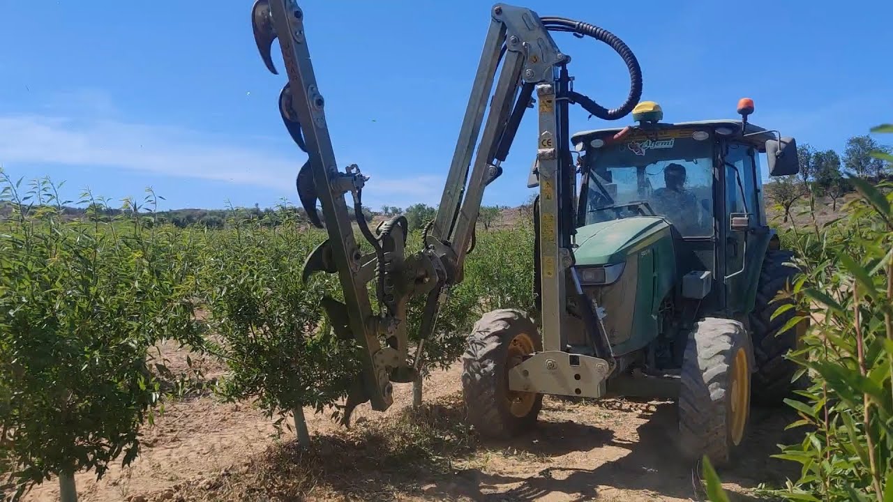 Manejo de primavera del Almendro
