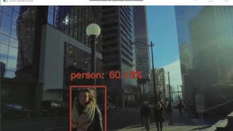 Object Detection using SSD(Single Shot Detection) - Python Project