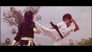 Incredible Kung Fu Mission(1980)-'Blond(blonde) Sided'