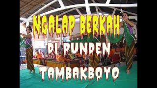 Tujuh 7 MISTERI & Cerita GAIB dari Punden Sakral TAMBAKBOYO-Tawangsari-Sukoharjo-JATENG...