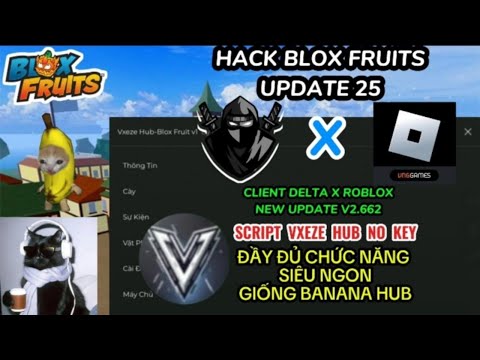 Cách Hack Blox Fruit: Script Vxeze Full Chức Năng Giống Banana Hub Đến 99 – Jeb Gaming