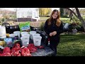 Planting Spring Blooming Bulbs in Containers! 🌷🌷🌷 // Garden Answer