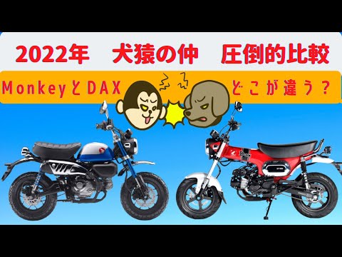 【DAX125】圧倒的モンキー対ダックス比較、どこが違うのか？が分かる動画【Monkey125】