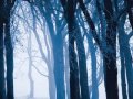 silent stream