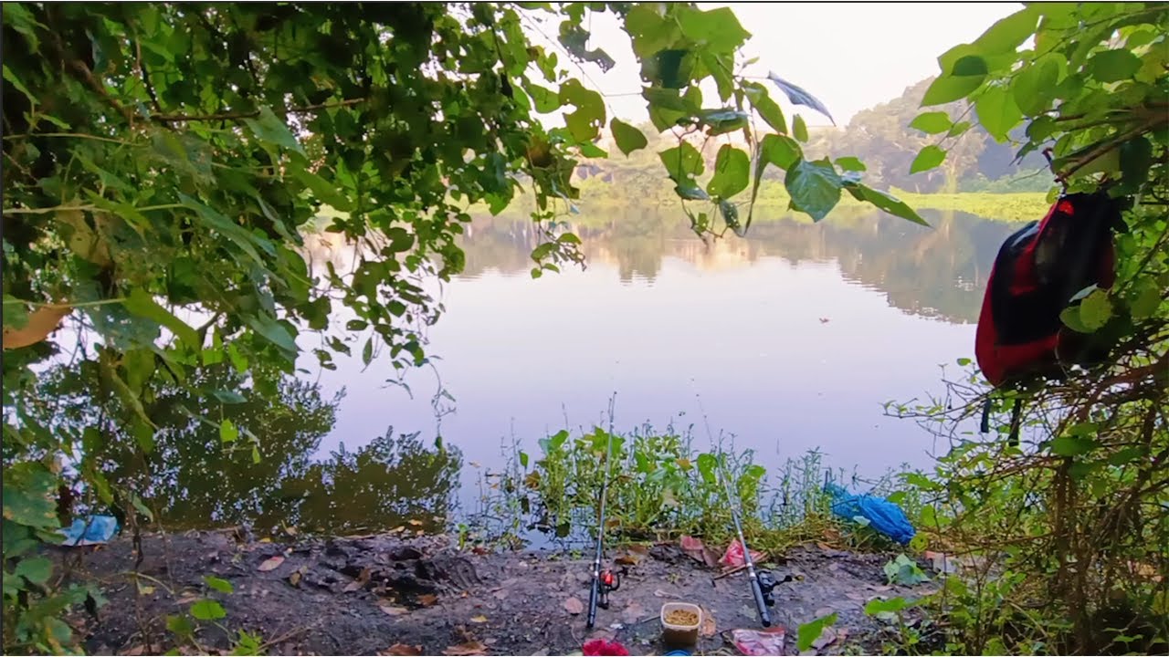 Best Hook Fishing I I prepared fish food for fishing YouTube