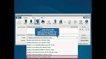 How to convert video for BlackBerry Playbook using AVS Video Converter?