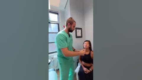 Dog Chiropractic Vs. Human Chiropractic