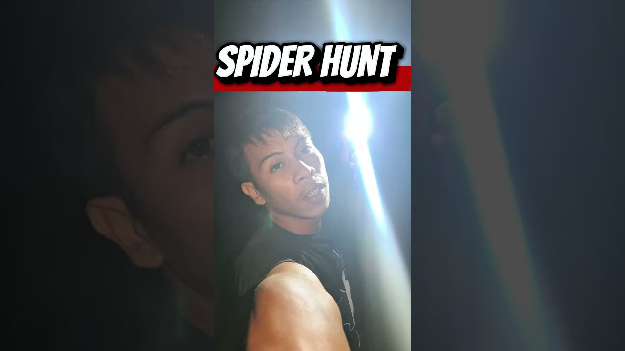 SPIDER HUNT PART 1 MAY ANACONDA🐍😱