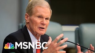 Florida Senator Bill Nelson: People Are Helping People In Our State |  MSNBC