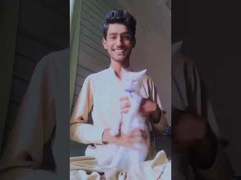 Mein Ni Boldi Shorts