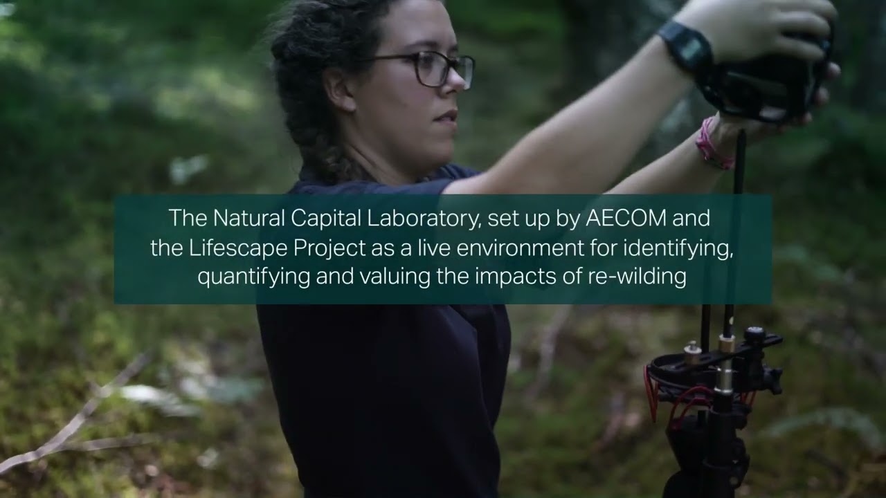 environment-our-graduate-programme-uk-ireland-youtube