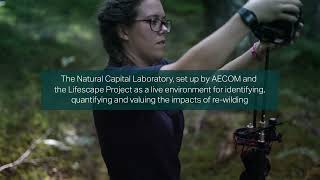 Environment – Our Graduate Programme UK & Ireland