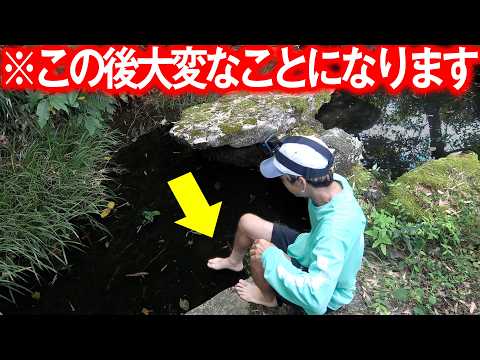 #3 Attacked by dangerous creatures!? Entering an unfathomable pond barefoot,, 【The Revival of A H...