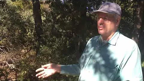 Edge of Extinction: We Cannot Effectively Manipulate Ecosystems