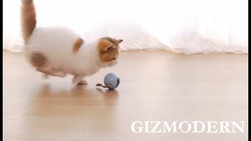 Rechargeable Interactive Cat Self-rotating Ball Toy, with Build-in LED Light