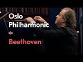 Mellomspill II: Symphony No.1 / Beethoven / Juanjo Mena / Oslo Philharmonic