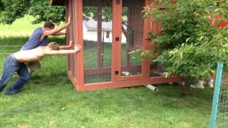 chicken move coop duda lang farms