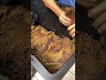 Cigar Factory Tour in Miami