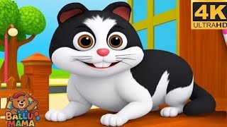 Meow Meow, The Cat Goes Meow Meow Meow, The Cat Goes Meow Hindi Rhyme Nursery Rhyme For Kids