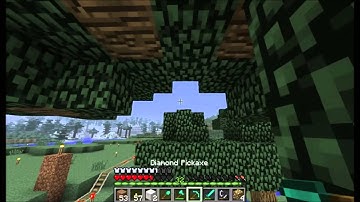 The Minecraft King: SKELLITONIO