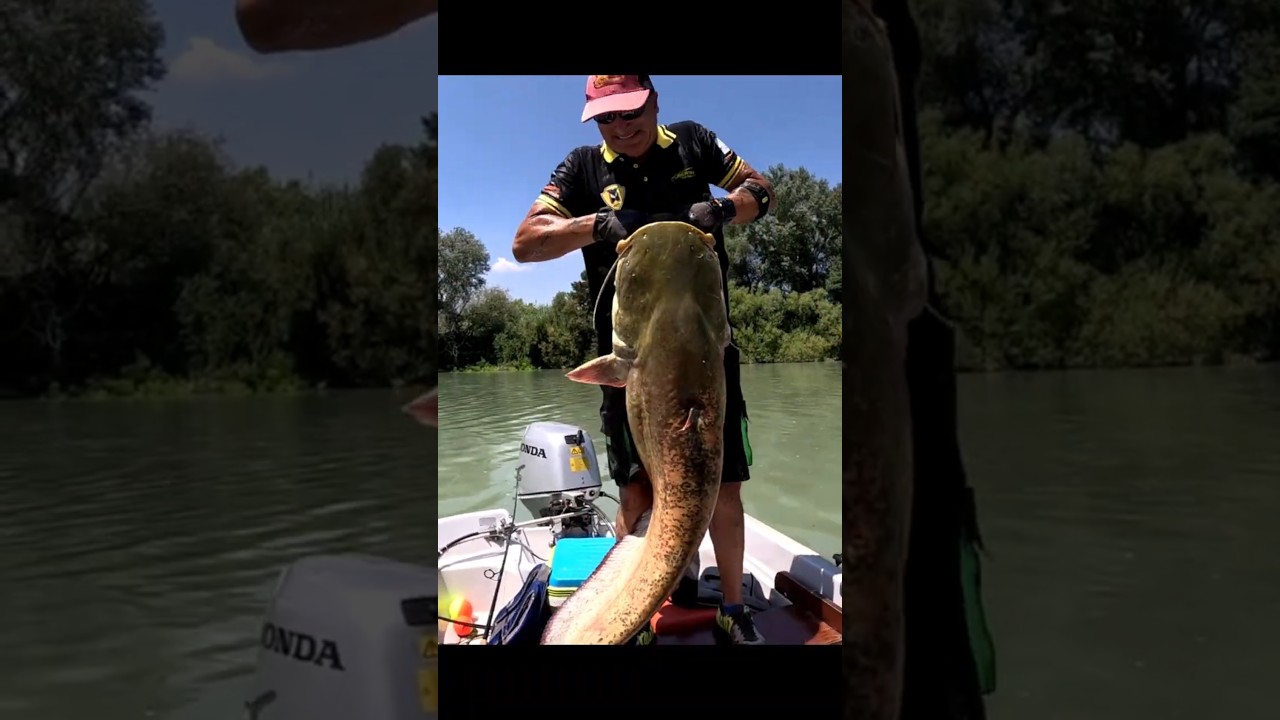 Il CANALE della PESCA sportiva - STRIKE ZONE FISHING IT 