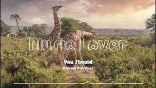 🎵 You Should - Patrick Patrikios 🎧 No Copyright Music 🎶 YouTube Audio Library