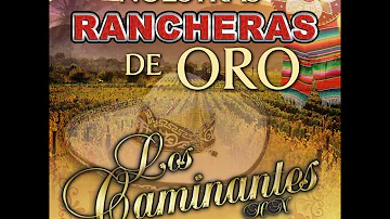 Los caminantes Rancheras mix 2021