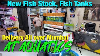 New Fish Stock at AT_AQUATICS I Delivery Available All Over Mumbai