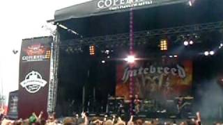 Mosh Pit at Hatebreed Copenhell DK