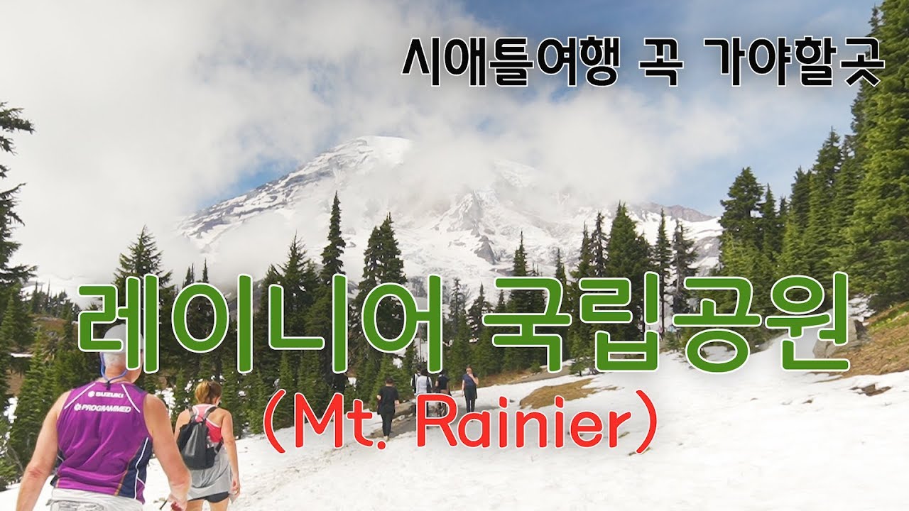 시애틀여행🇺🇸레이니어 국립공원🗻높이가 한라산 두배!한여름에 만년설 빙하🏔눈 하이킹