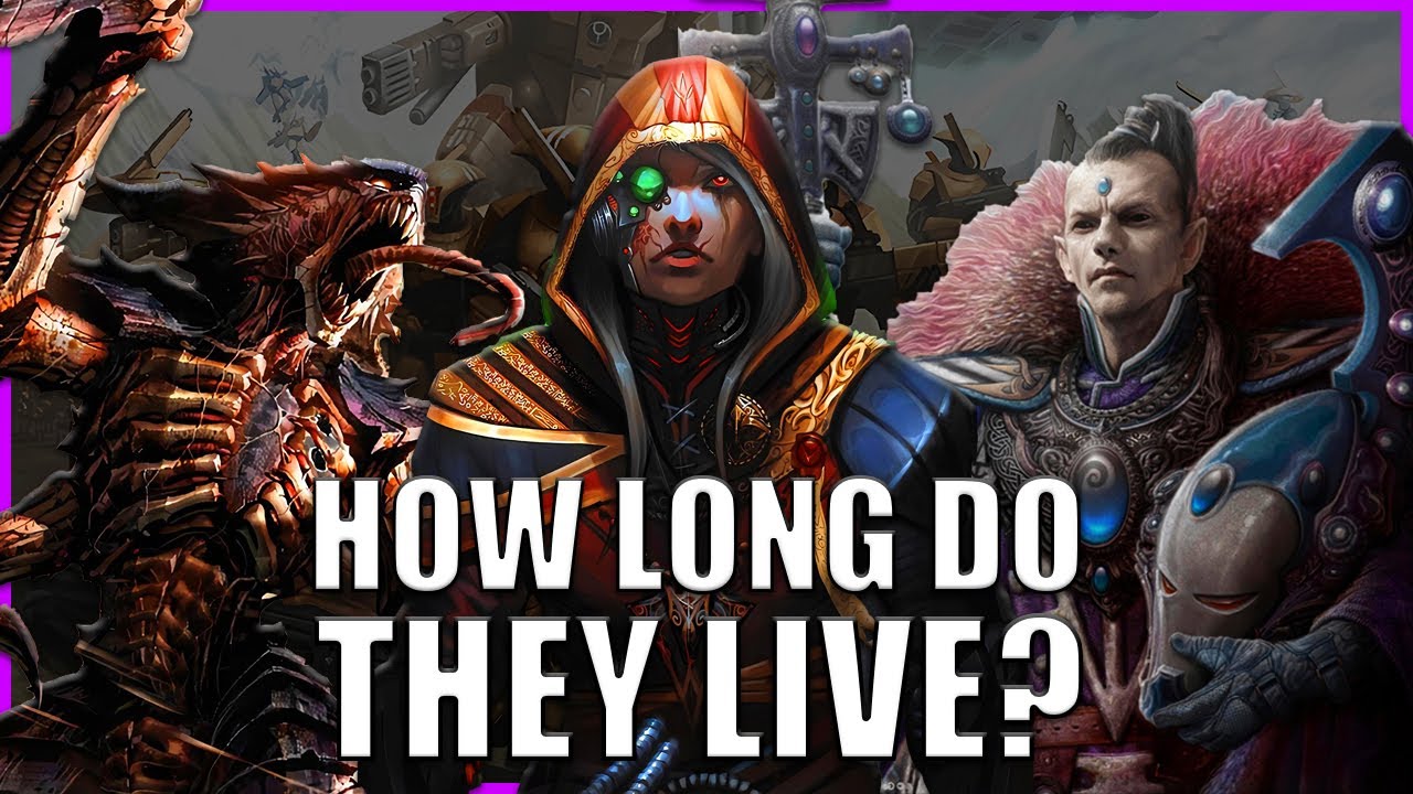 What is the Life Span of each Race? | Warhammer 40k Lore - YouTube