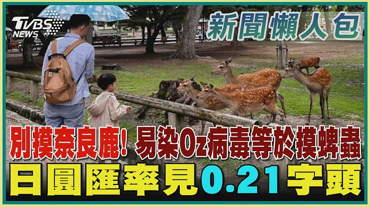 别摸奈良鹿! 易染Oz病毒等于摸蜱虫 日圆汇率见“0.21字头”｜TVBS新闻 @TVBSNEWS01 - 天天要闻